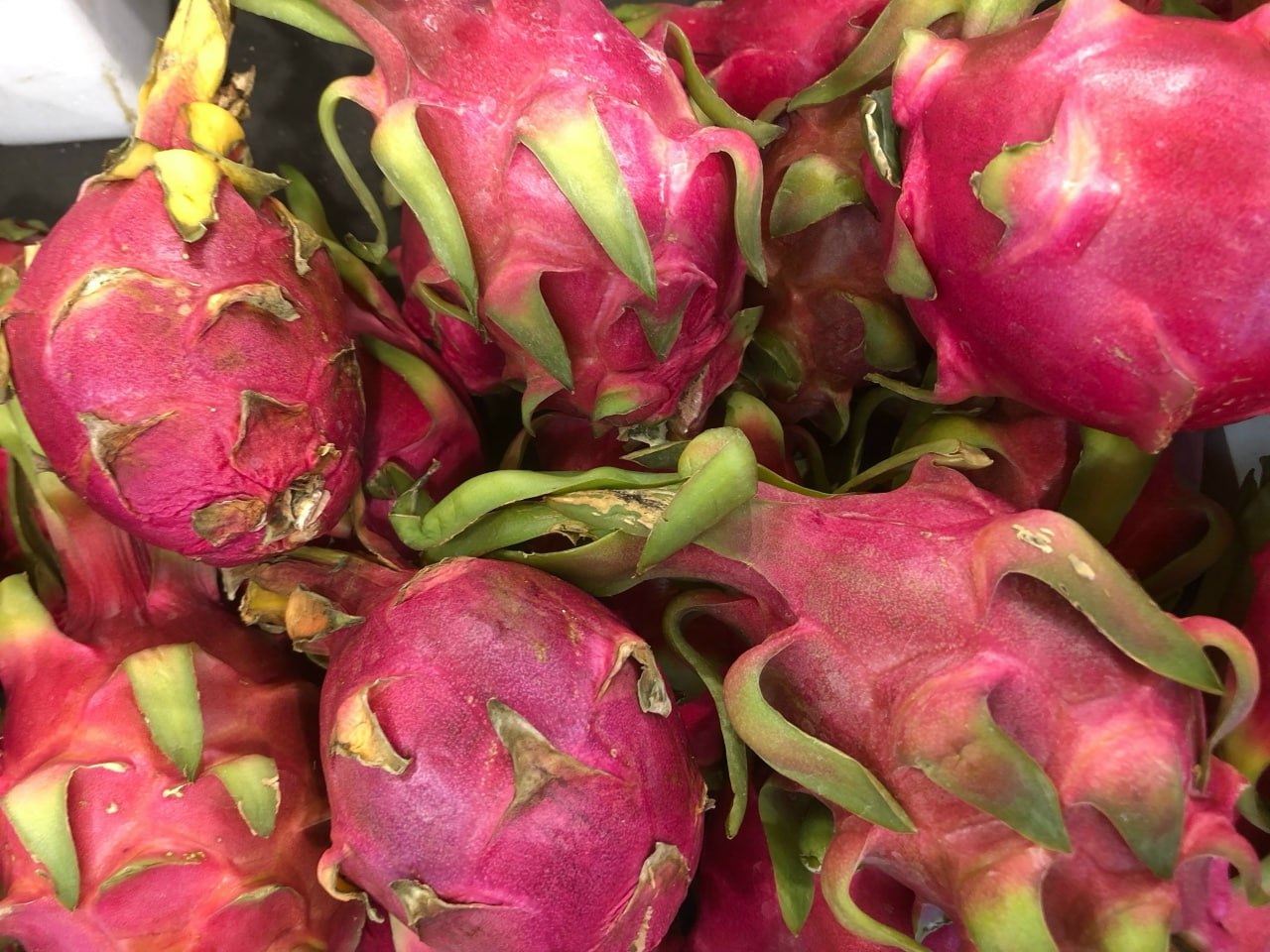 Драгонфрукт