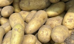 Картофель в магазине