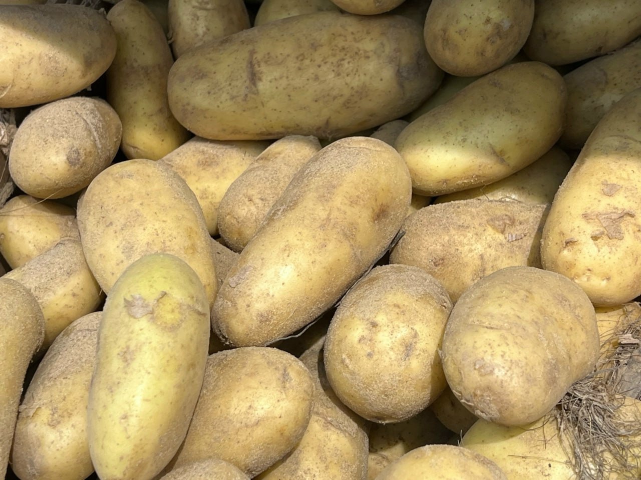 Картофель в магазине