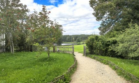 Посадка деревьев