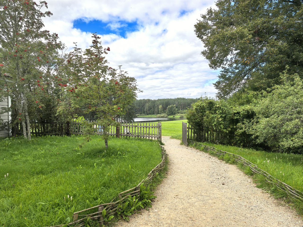 Посадка деревьев