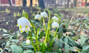 Весна в Свердловской области