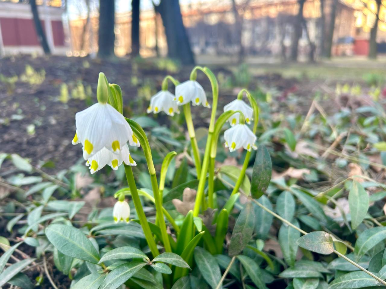 Весна в Свердловской области