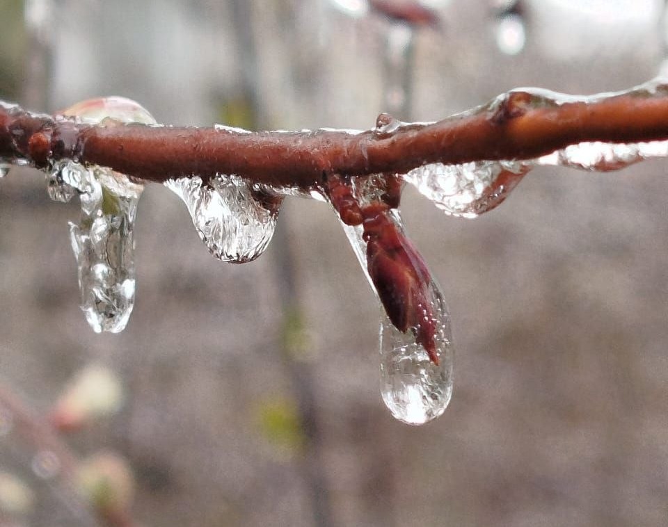 Екатеринбург