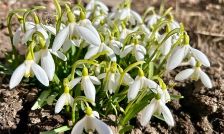 Весна в Екатеринбурге