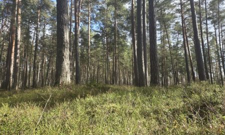 Весна в Екатеринбурге