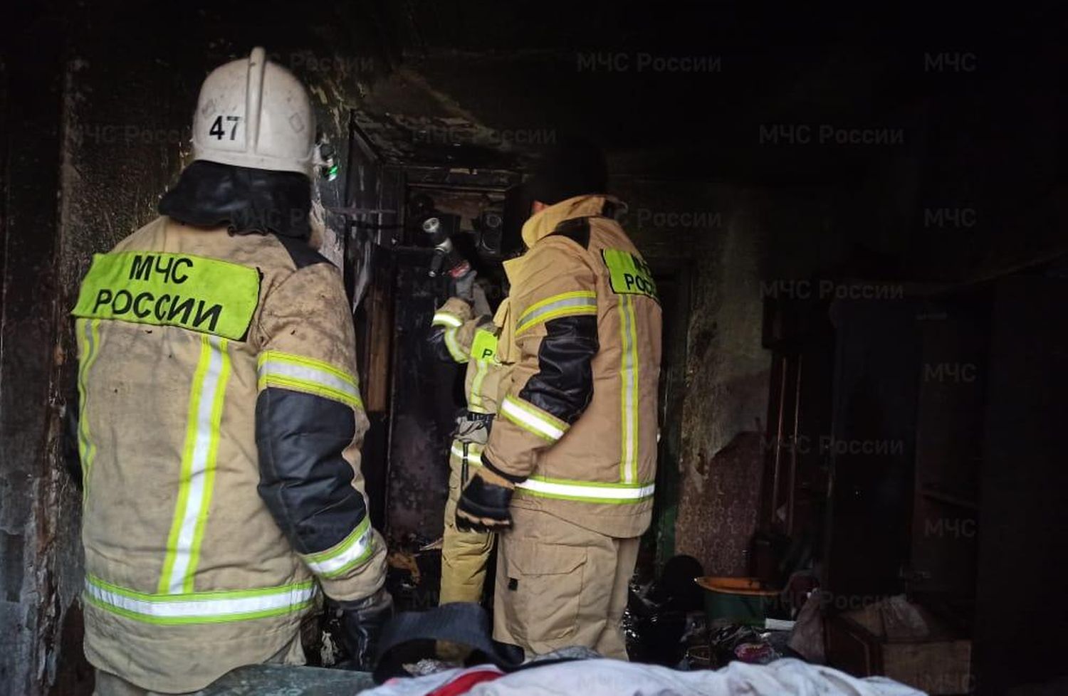 Сотрудники МЧС на пожаре