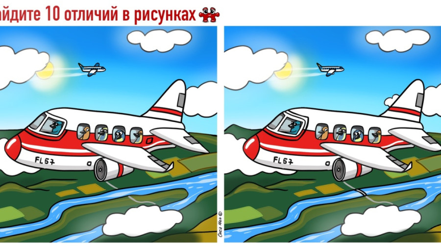 Животные летят на самолете