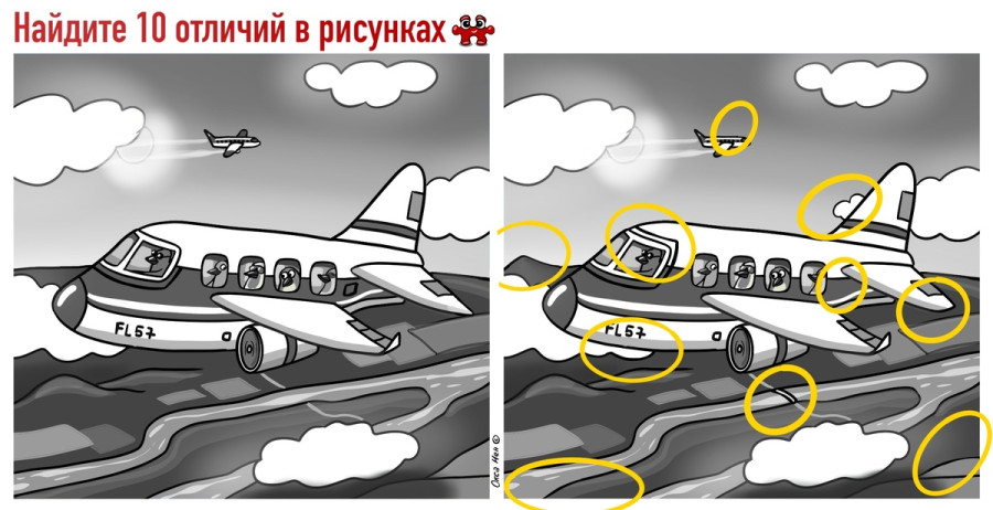 Животные летят на самолете