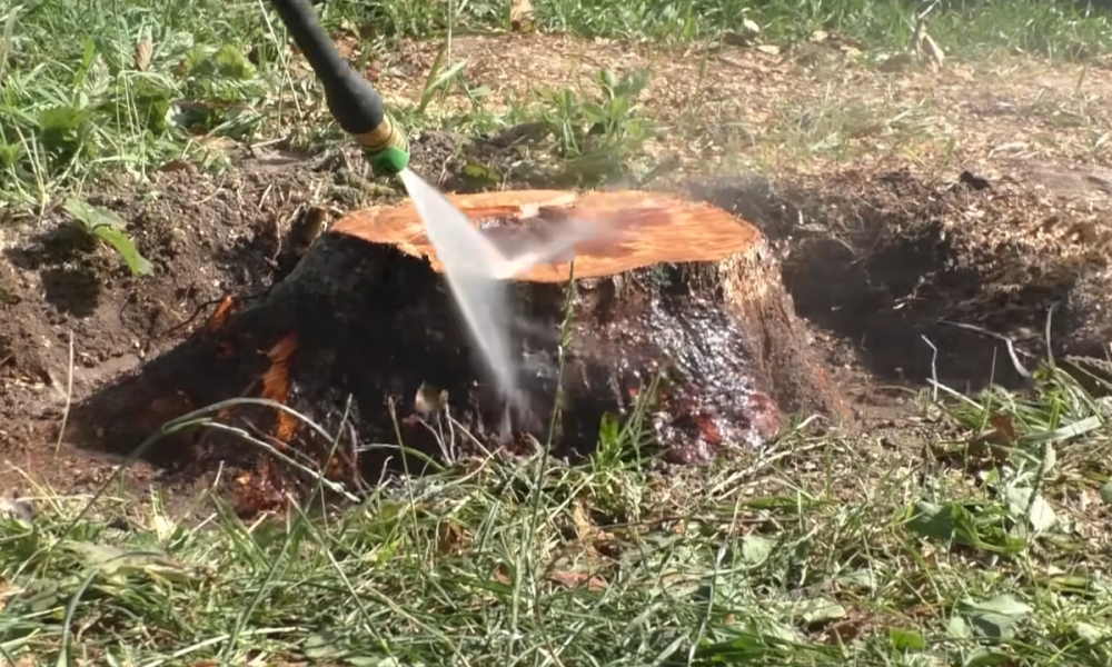 Избавление от пня