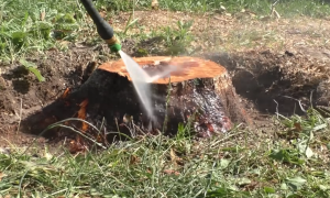 Избавление от пня