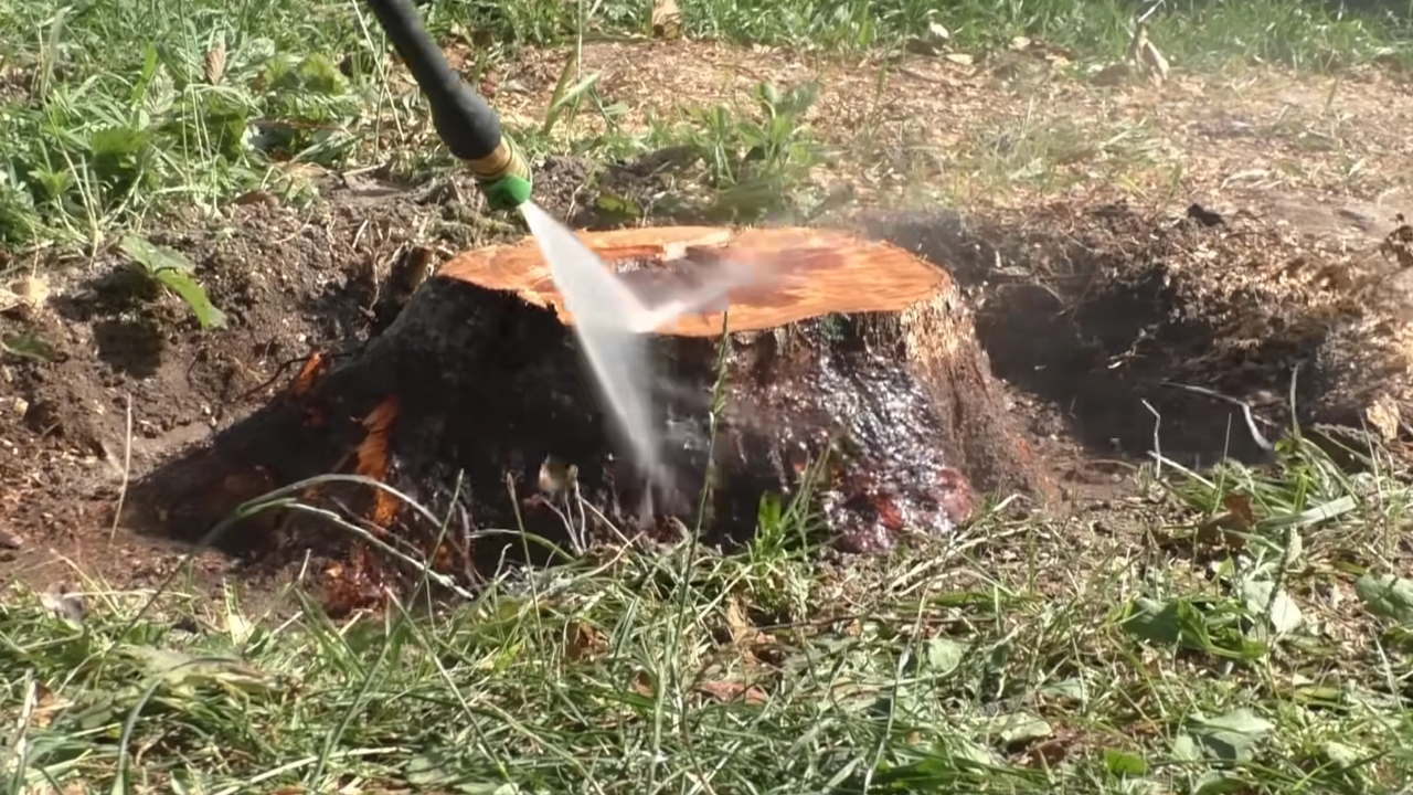 Избавление от пня