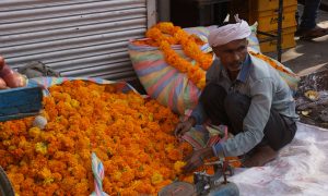 Бархатцы у продавца