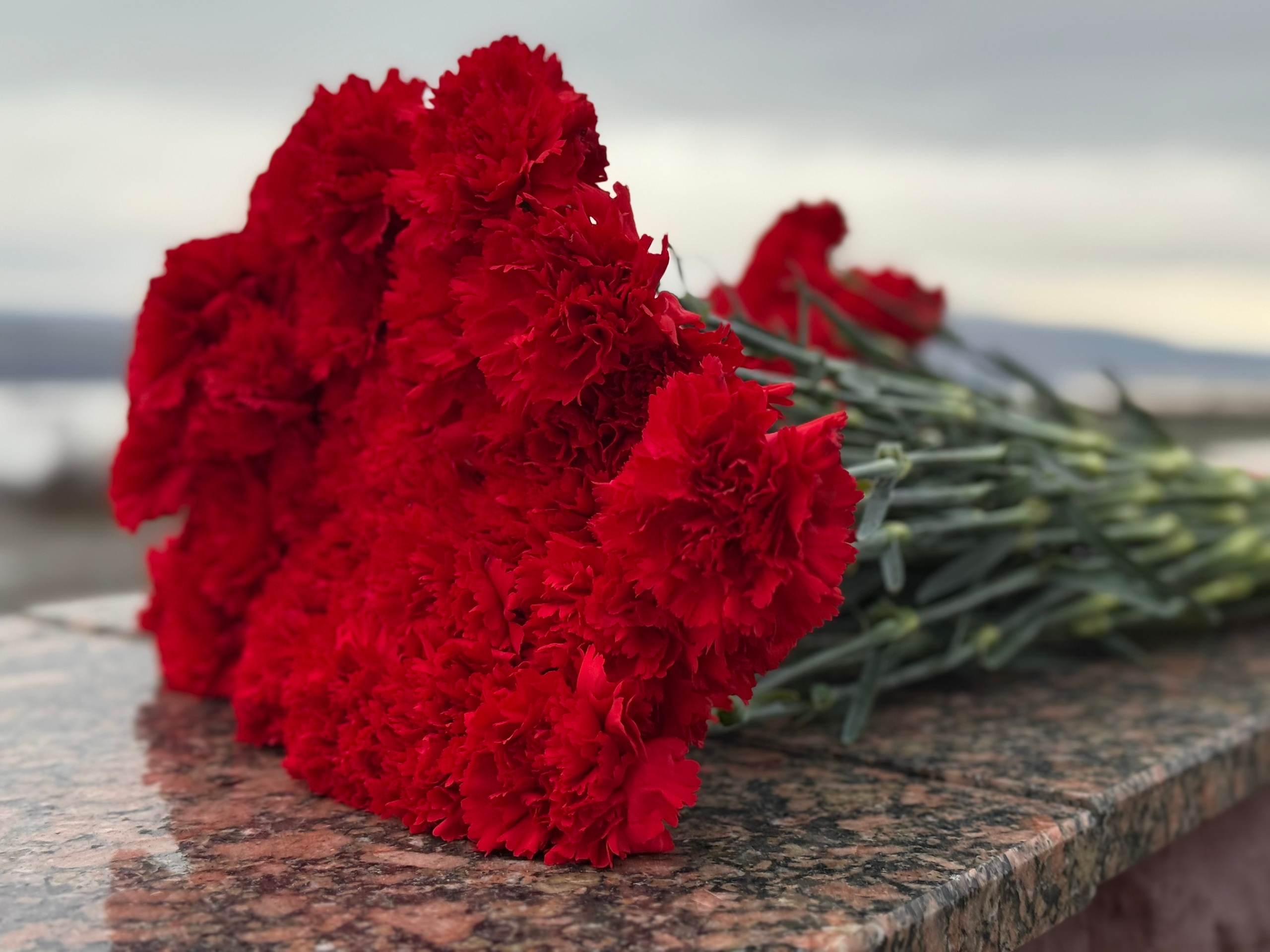 Гвоздики лежат на мраморе