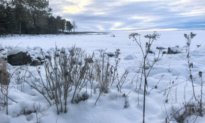 Снег в Свердловской области
