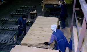 Сотрудница фанерного завода за работой.