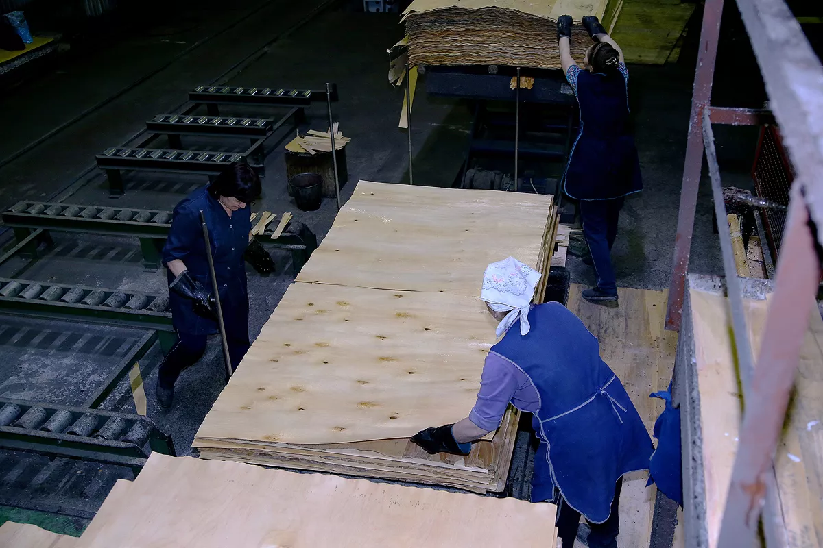 Сотрудница фанерного завода за работой.