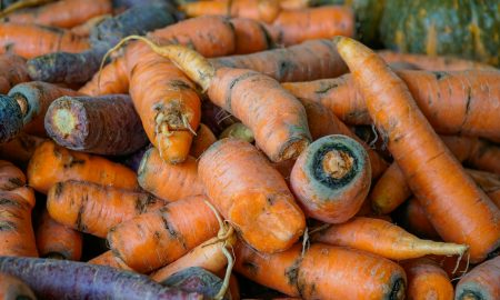 Урожай моркови
