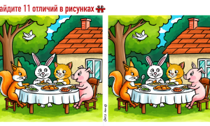 Животные за столом