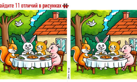 Животные за столом