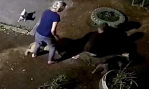 Собаки нападают на человека в Екатеринбурге
