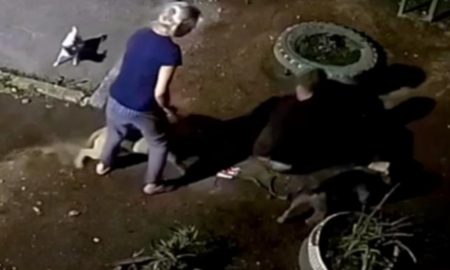 Собаки нападают на человека в Екатеринбурге