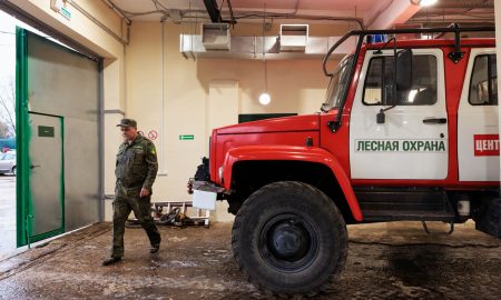 Автомобиль и сотрудник лесной охраны