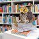 Декоративная сова из картона и шишек сидит на стопке бутафорских книг в библиотеке на фоне стеллажей с литературой.