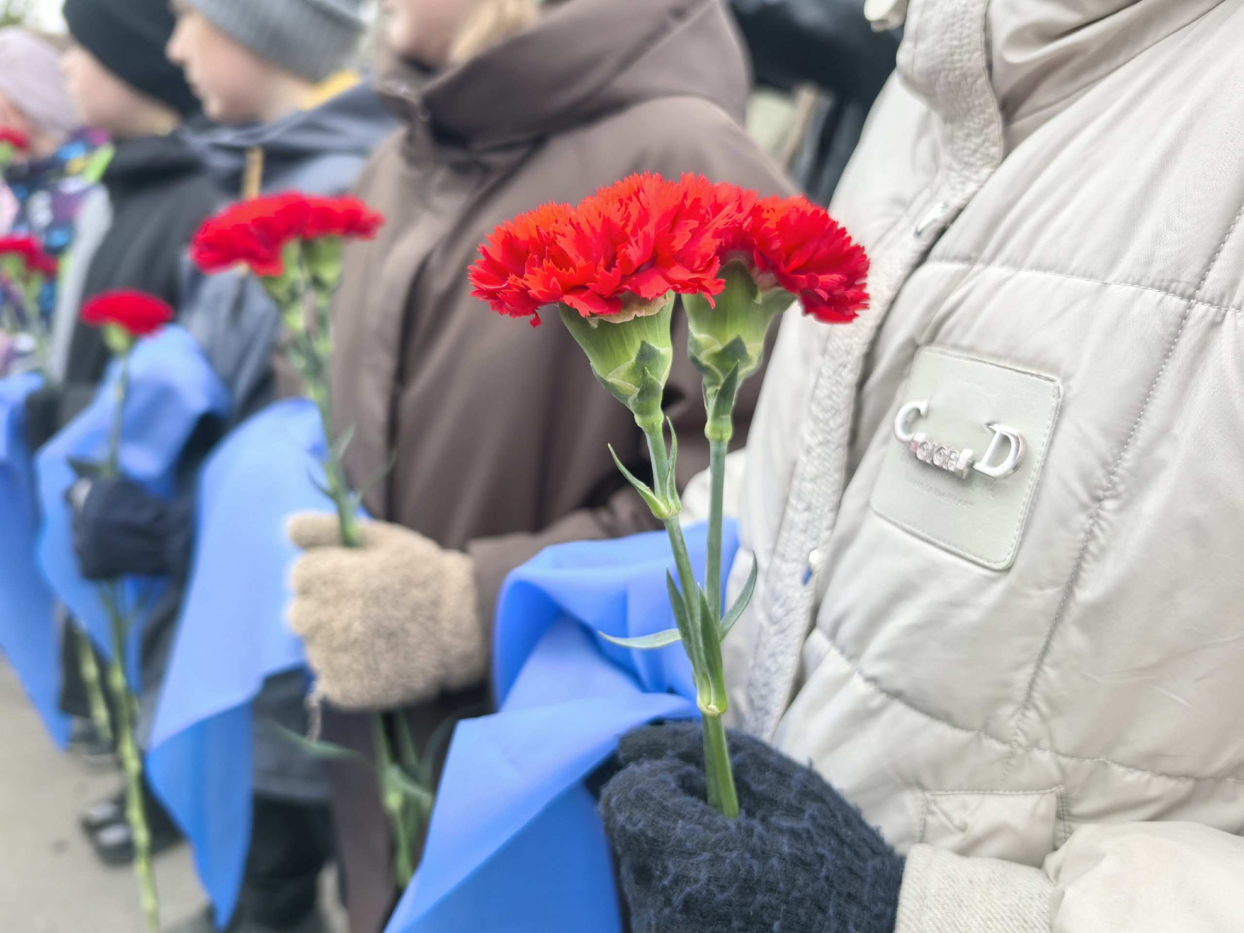 Люди держат гвоздики