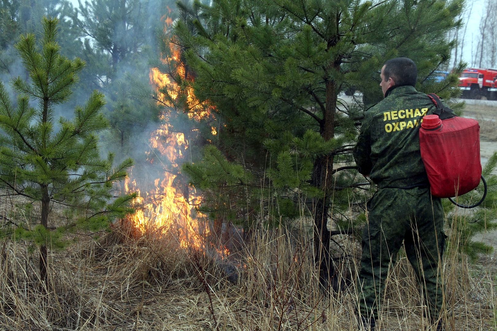 Лесной пожар