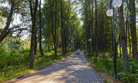 Обработка парков