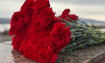 Цветы лежат на парапете
