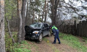 Кроссовер врезался в дерево