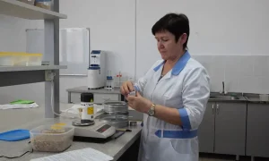 Анализ зерна в лаборатории
