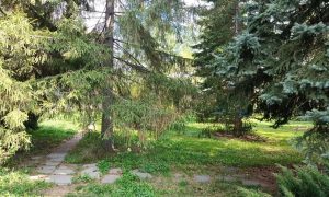 Екатеринбург
