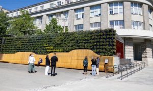 «Живая стена» появилась рядом со станцией метро «Площадь 1905 года»