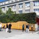 «Живая стена» появилась рядом со станцией метро «Площадь 1905 года»