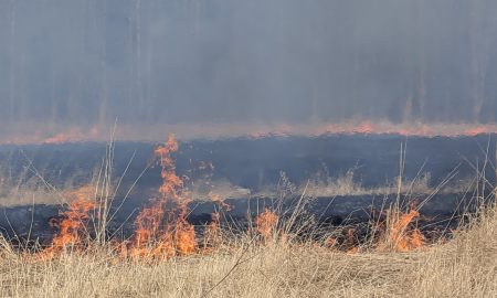 Горит трава в поле