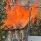 Пожар в СНТ Весна в поселке Большой Исток под Екатеринбурге 17 мая 2026 года.