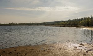 Берег реки летом