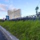 Трава наклонилась от ветра