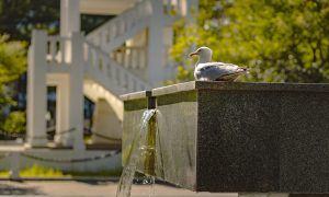 Фонтан в жаркий день