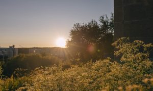 Солнце над городом