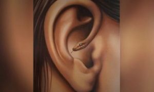 Психологический тест по картинке со змеей и ухом.
