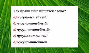 Проверьте свои знания по русскому языку.