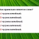 Проверьте свои знания по русскому языку.