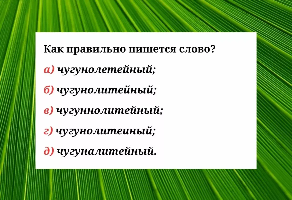 Проверьте свои знания по русскому языку.