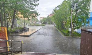 Летний дождь