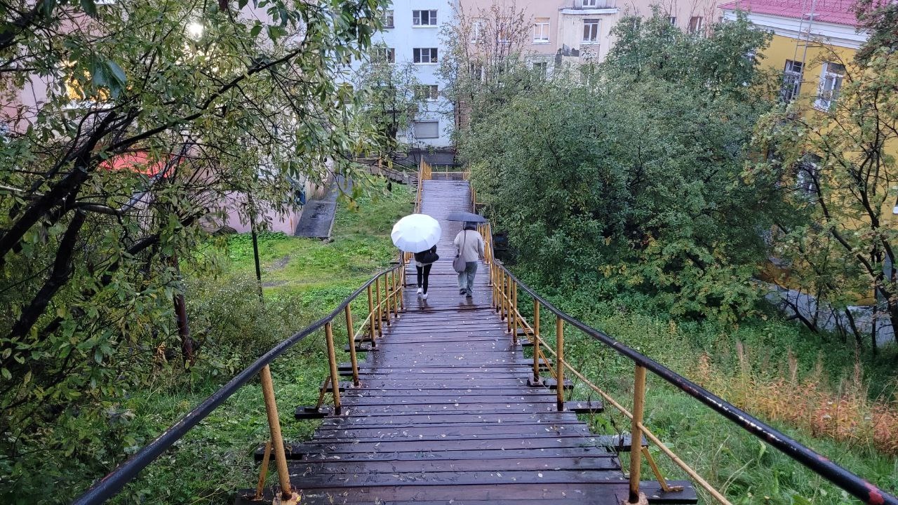 Люди идут под дождем