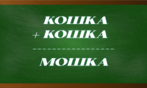 криптарифм кошка - мошка